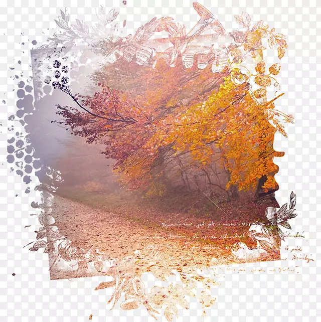 ��Ӱ������-������