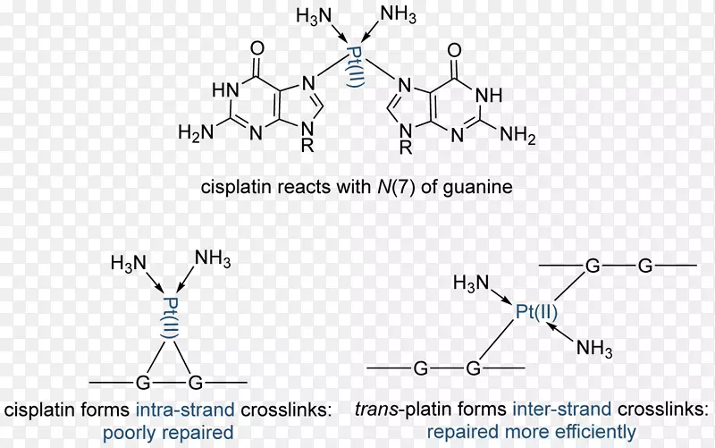 ��ѧ�Ƽ��߻���ѧԪ��-������