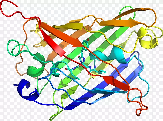 �ߵ������-��-������