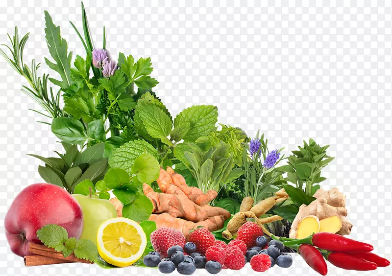 Ҷ����ʳ�����߲�-������