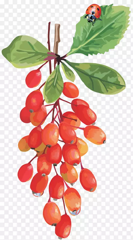 Խ��ӣ������-������