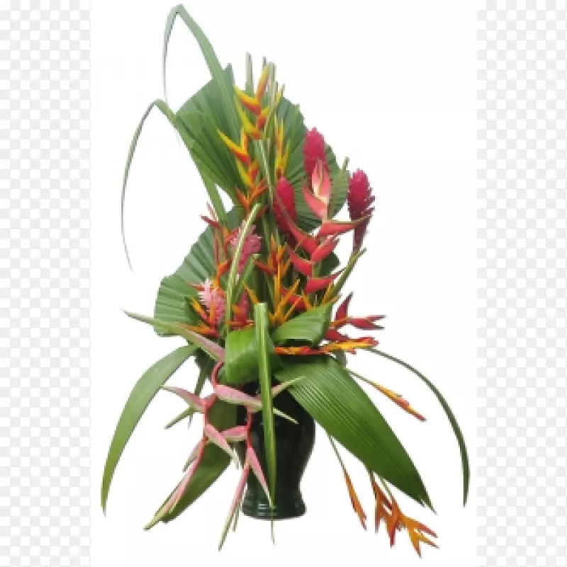 ��������л���������-��-������