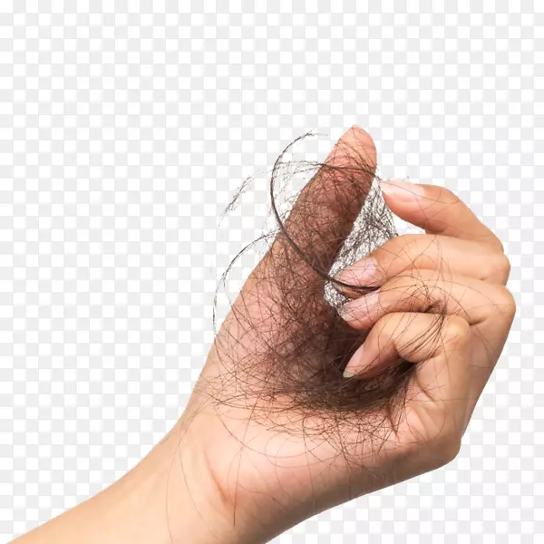 Ĵָ-������