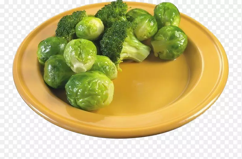 ��Ҭ��-�ɻ���װ�����-������