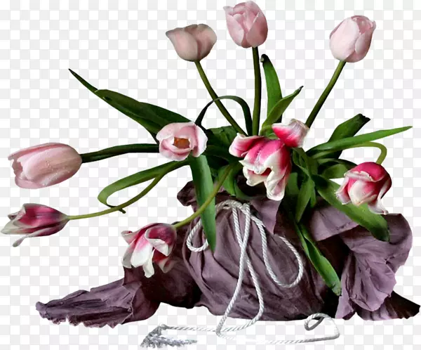 �����㻨-������