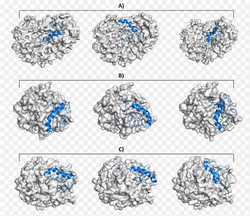 �����鱦������.�����ܾ�-������