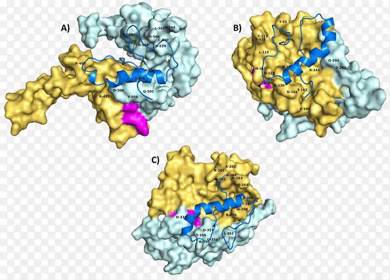 �����鱦����.�����ܾ�-������