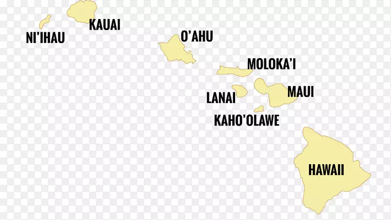 �̱������ֽ����-�����ĵ�-������