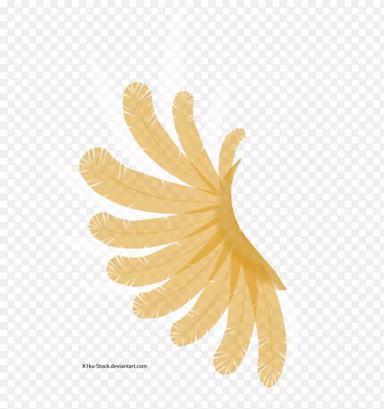 ������ɫ���-������