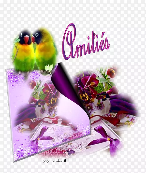 ֪����-������