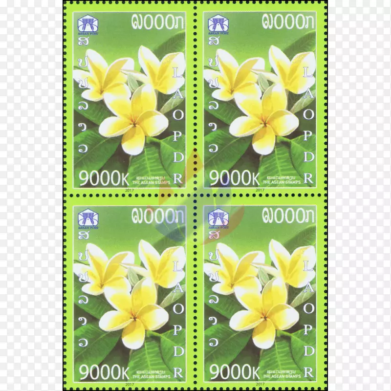 ����ֲ��-�컨����-������