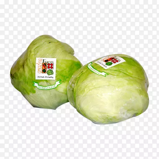 ʮ�ֻ����߲�Ҷ��ݫ��-������