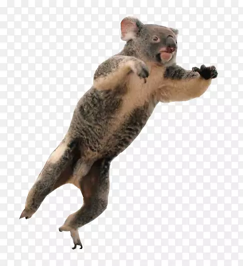 ����ë½��������ӿ�����-������