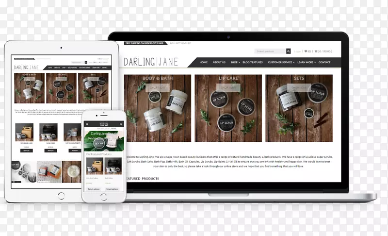 ��ҳ������ý��Ʒ����վά��-������