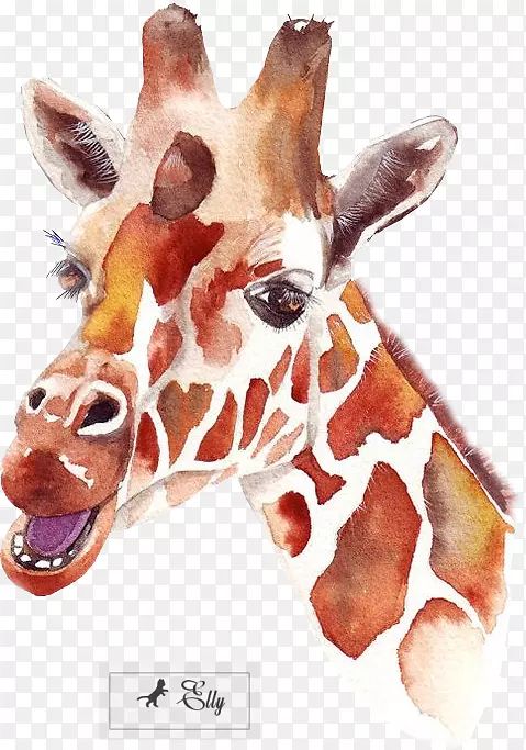 ˮ�ʻ����������赸ˮ�ʻ�����¹-������