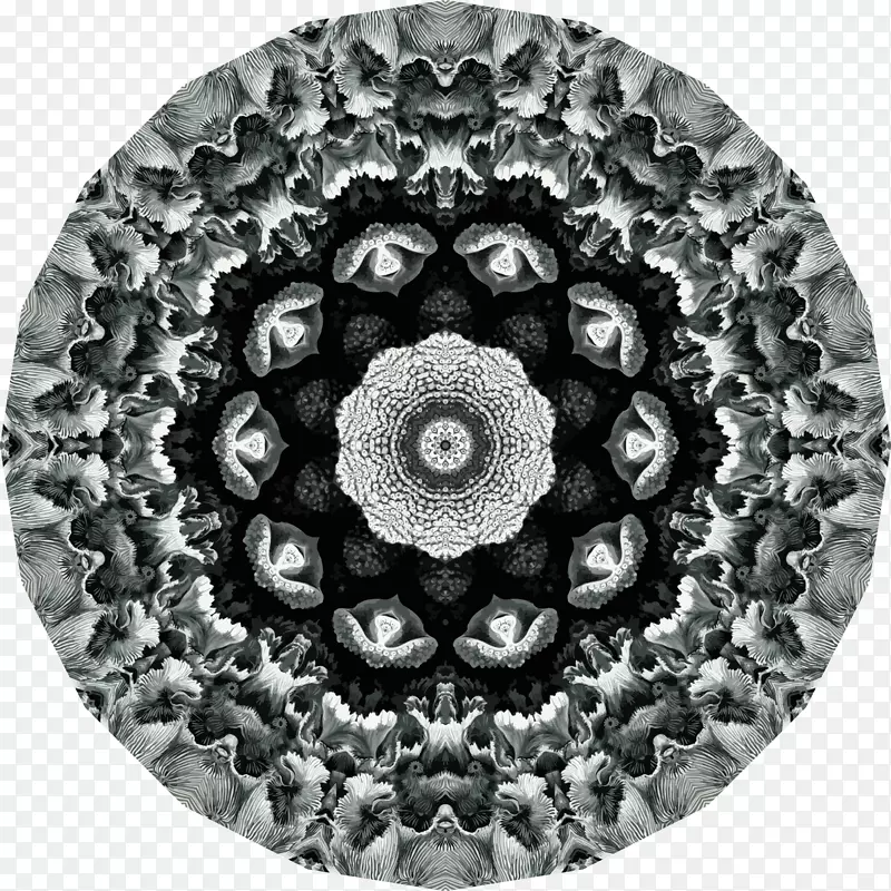 ��Ȼ�ԳƵ�������ʽ-����������-������