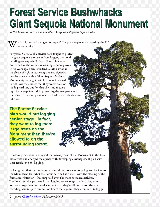 ������ֲ��-��-������