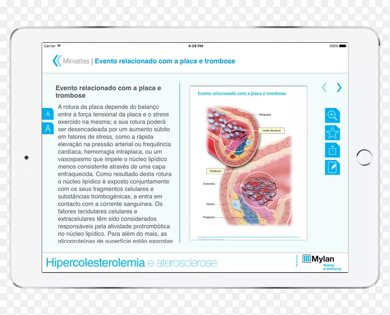 ��ý�弼��Ʒ�������弼��-������