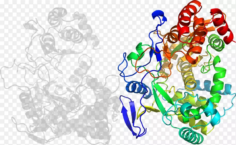 ������Ϊʳ���������-������