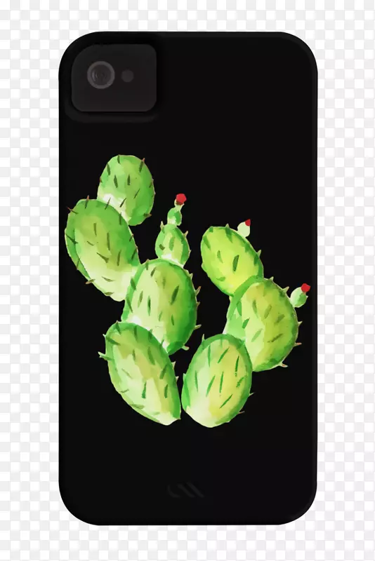 t����ñ�������ƿ�����t��-������