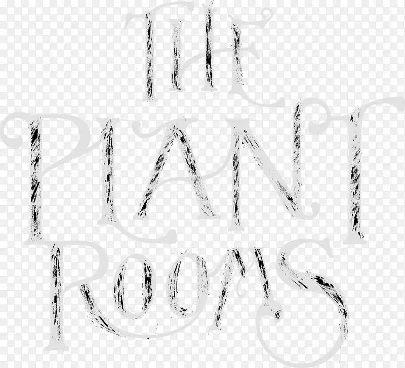 �����鱦��������-������