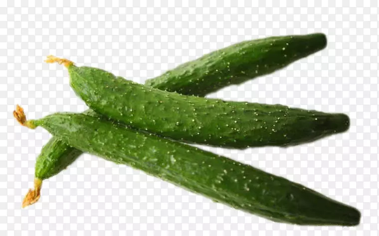 �����������ƻƹ���Ƭ�ƹϹ���ʳƷ-�ƹ���ɫ-������