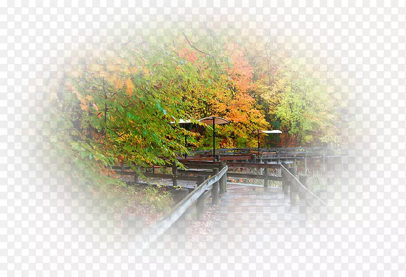 ̨ʽ����ֽ��������ֽ.ˮ-������