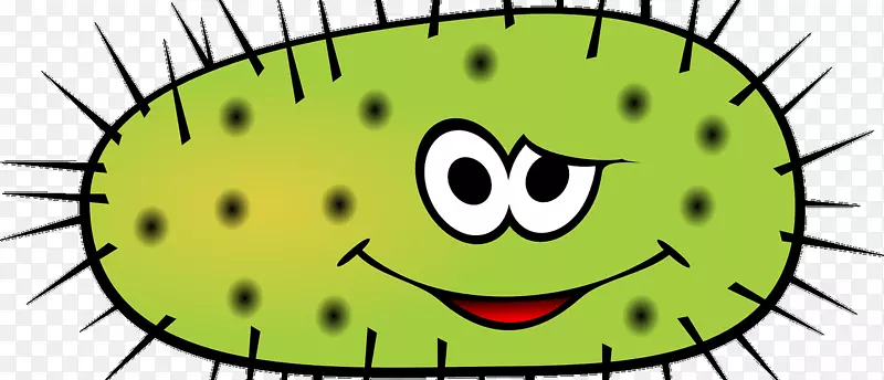 ����������Ⱦ��ʳ���������-������