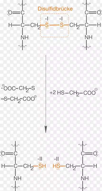 ֱ�ߵ����-������