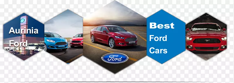 Ʒ�Ʊ�־������-������