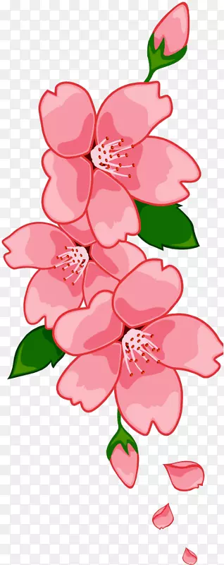 ӣ���л�-�ۺ�ɫӣ��-������