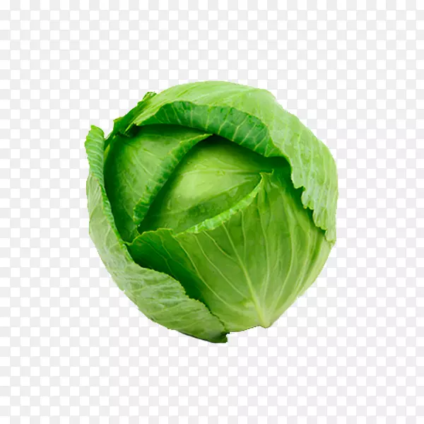 ݫ�ġ����Ĳˡ�ʮ�ֻ����߲ˡ����ˡ���Ҷ��-�߲�-������