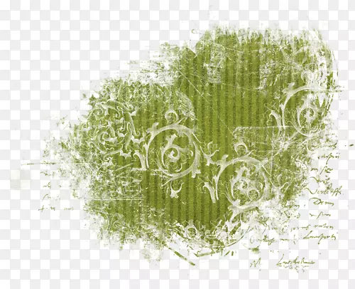 �����ֽ�ݵ����������-������