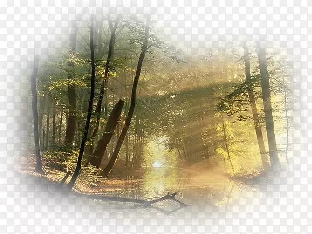 �����ֽ��Ӱ��Ȼ-��������-������