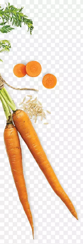 Ӥ�����ܲ���ȻʳƷ-һ�����ܲ�-������