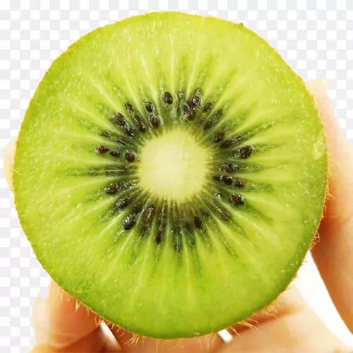 ⨺���ʳ��⨺���-������