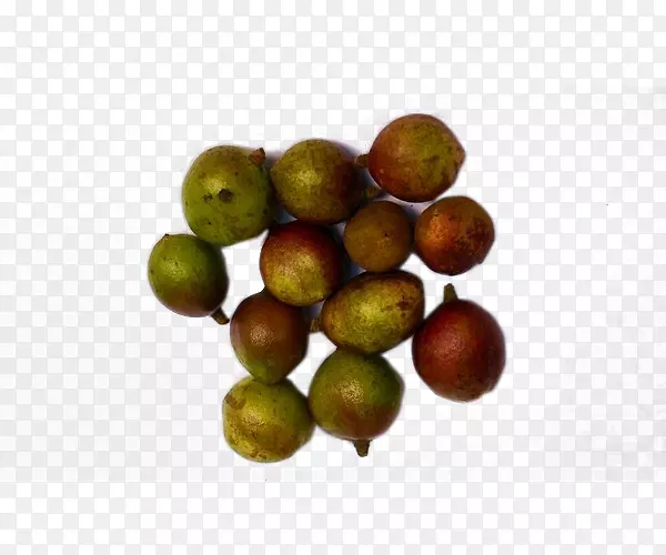 ˮ��������-˳ʽ����-������