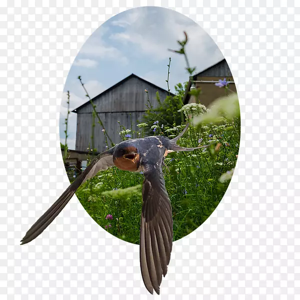 �-������