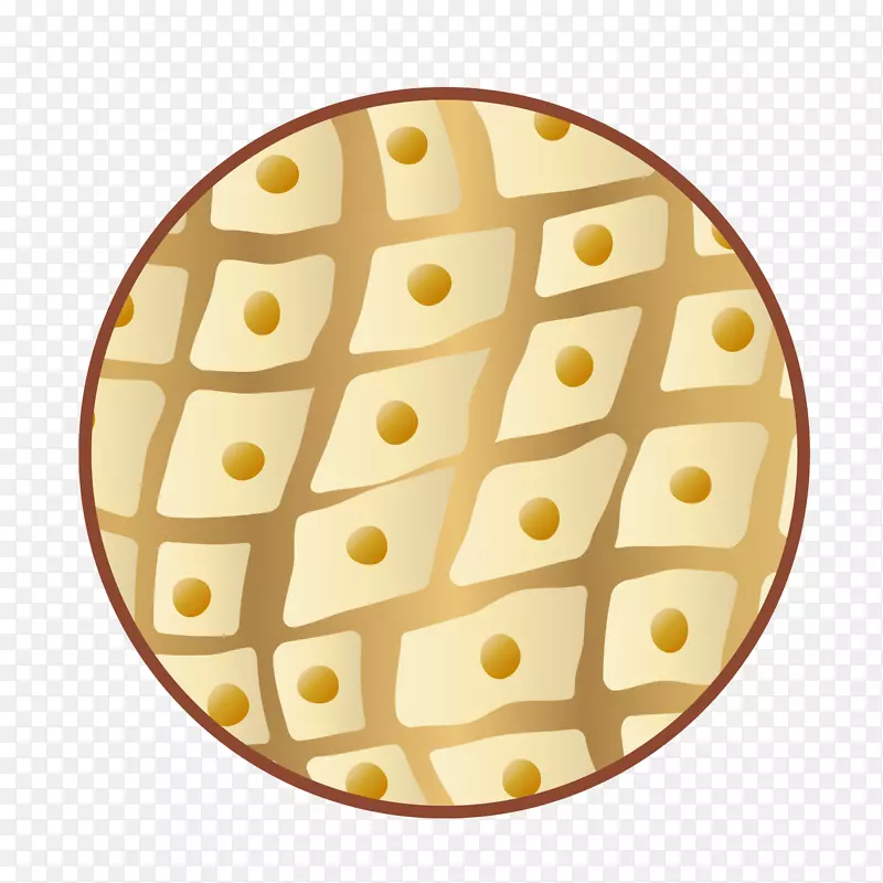 ��ʳ���������֬ʳ�����就����-������