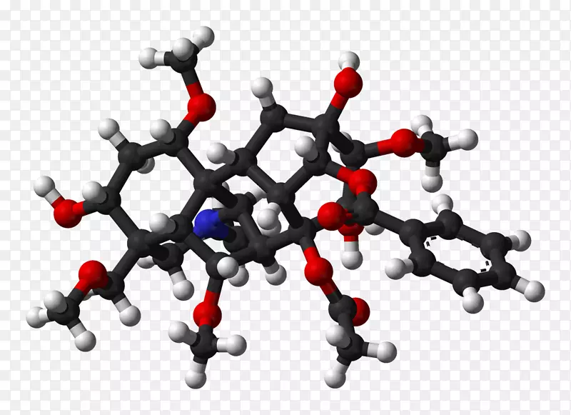 ��������.���-������