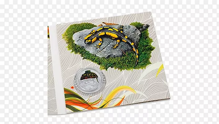 ����-ŷ�޻�����-������