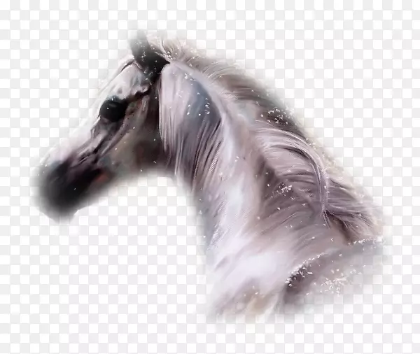 ��������Ұ�����ֲ���-Ұ��-������