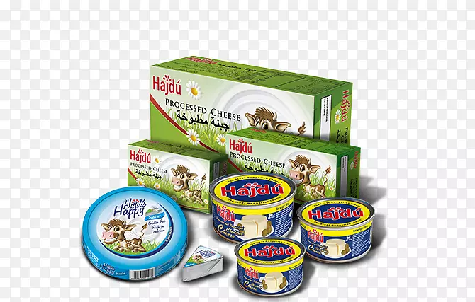 ����ʳƷ��ζ�ӹ�����-������