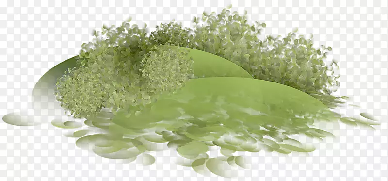 ���Ĳ���ͼ�����-������