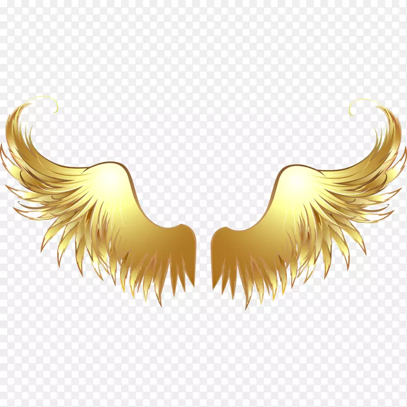 �滭������.��ʹ������-������