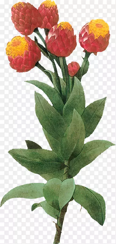 �������-������