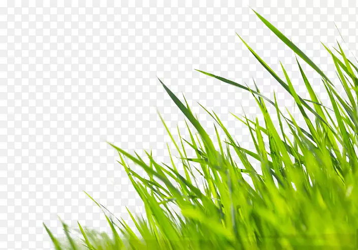 ��ֽ��ֽ��ɫ��ֽ-�����-������