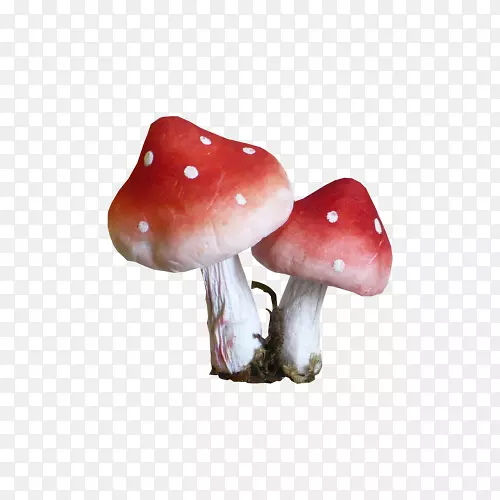 Ģ��-Ģ��-������