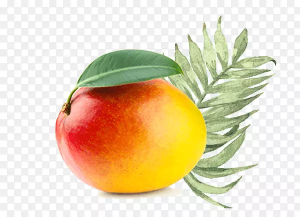 �л�ʳƷâ������Ʒ���γ���ʳƷ��â��-������