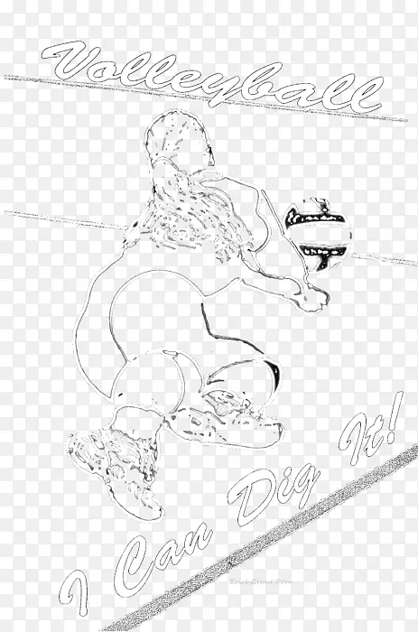 ��ָ��������ͨ����-�ھ�-������